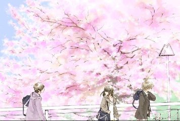 强上美人师尊蒲公英